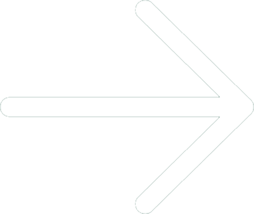 Seta